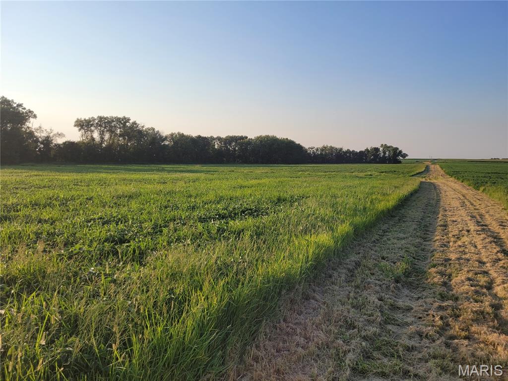 0 Hwy DD (46+/- Ac) Tract F, Bellflower MO real estate