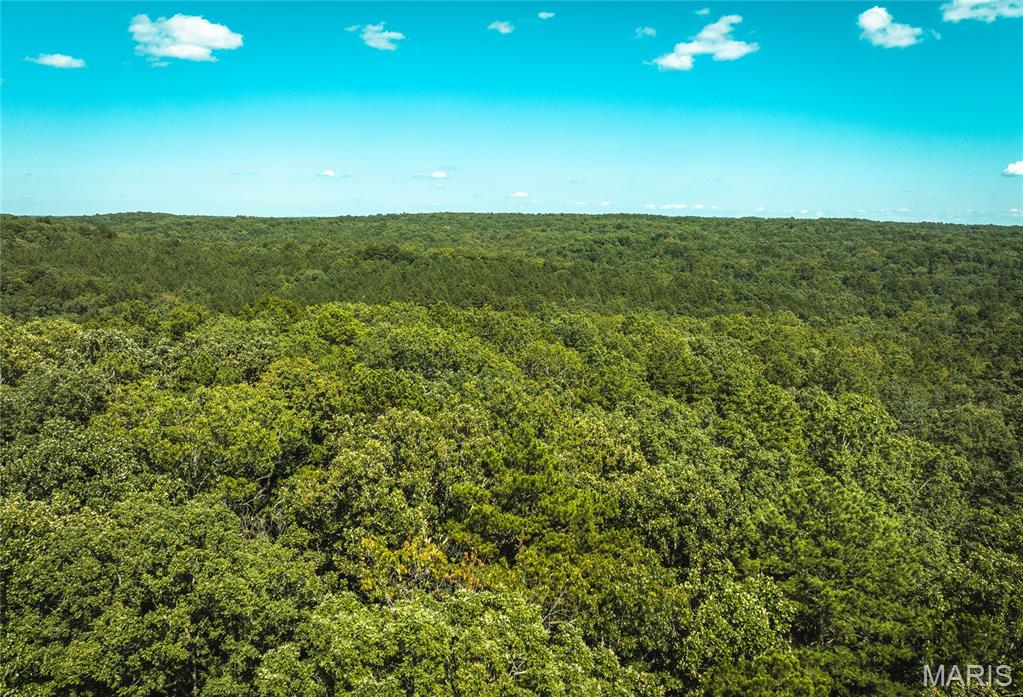 000 County Road 5600 Salem Missouri home for sale listed at $385,000