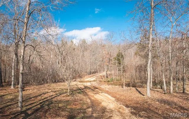 760 County Road 203, Annapolis MO real estate