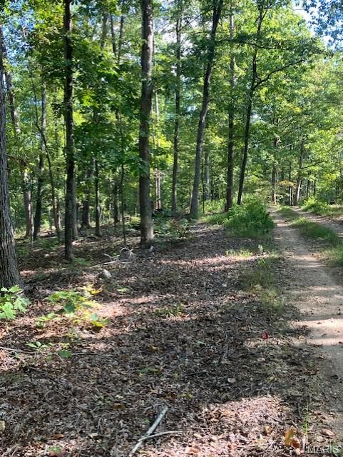 194 Madison CR 410 Fredericktown Missouri home for sale listed at $20,280