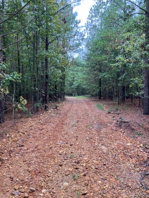 195 Madison CR 410, Fredericktown MO