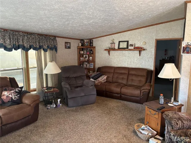 Living room — 13449 Highway J Conway Missouri real estate