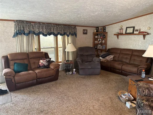 Primary bedroom — 13449 Highway J Conway Missouri real estate