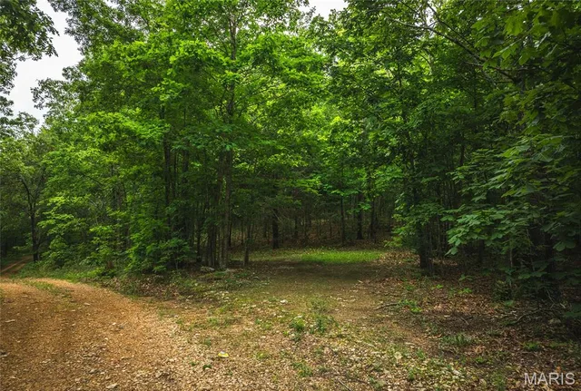 Primary bedroom — 0 County Road 6280 Tract 1 Jadwin Missouri real estate