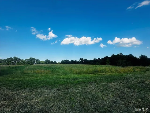 Tract 1A 935 Audrain Rd, Mexico MO