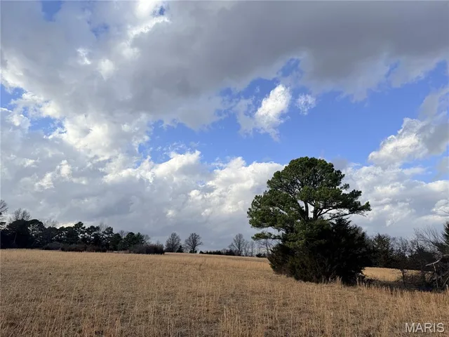 Tract 1B Audrain Road 935, Mexico MO real estate