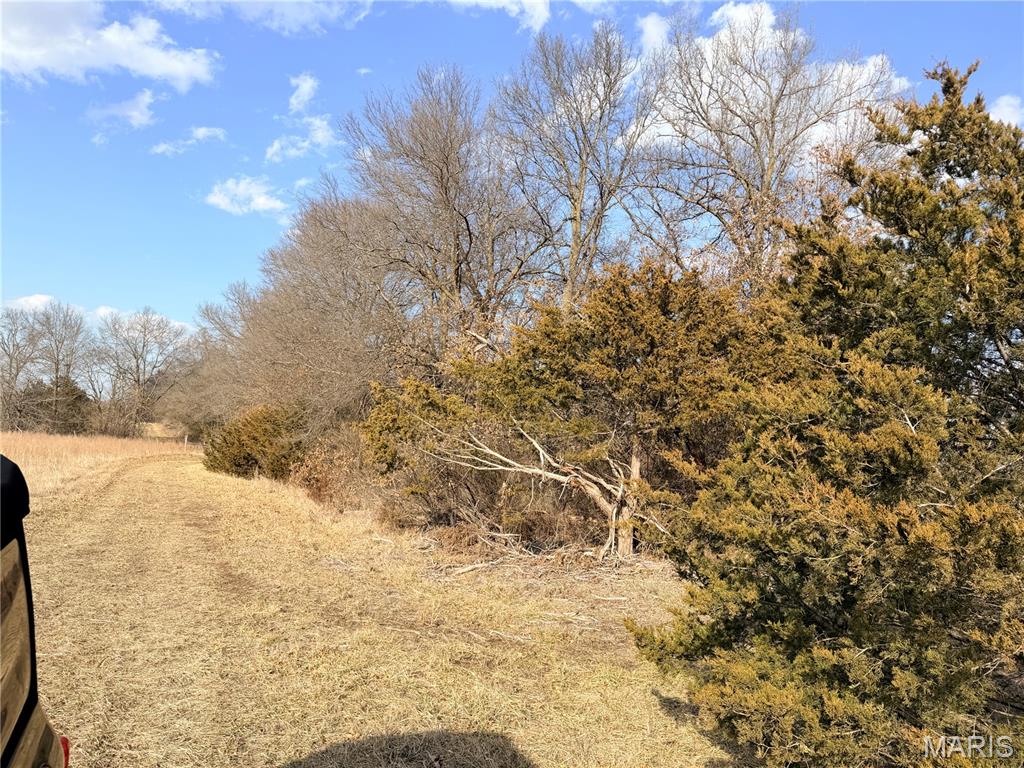 Tract 1C 935 Audrain Rd, Mexico MO
