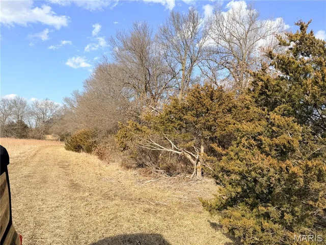 Tract 1C 935 Audrain Rd, Mexico MO