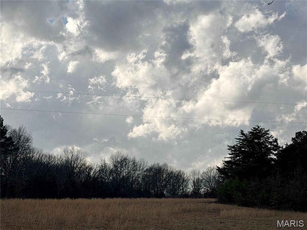Tract 1D 935 Audrain Rd, Mexico MO real estate