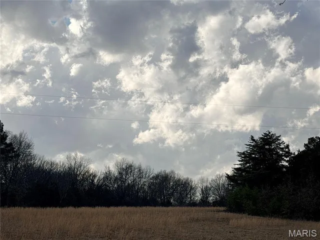 Tract 1D 935 Audrain Rd, Mexico MO real estate