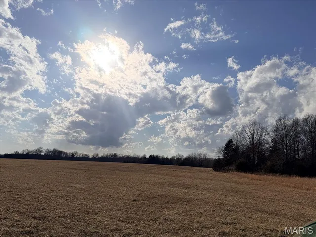 Tract 2C 935 Audrain Rd, Mexico MO real estate