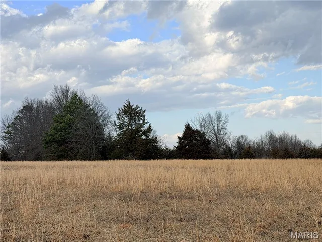 Primary bedroom — Tract 2C 935 Audrain Rd Mexico Missouri real estate