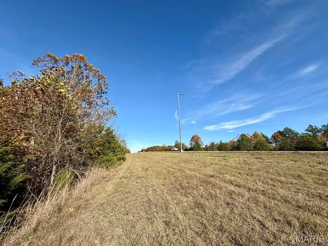 Primary bedroom — 000 Hwy 63 Houston Missouri real estate