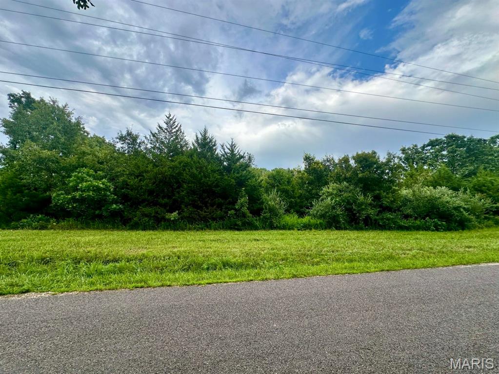 000 Co Rd 4180 Lot 1 Salem Missouri home for sale listed at $52,500