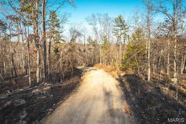 Primary bedroom — 000 County Road 19-208 Tract 2 Eminence Missouri real estate