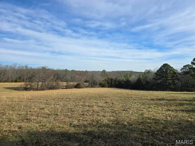 Primary bedroom — 000 Airport Road Houston Missouri real estate
