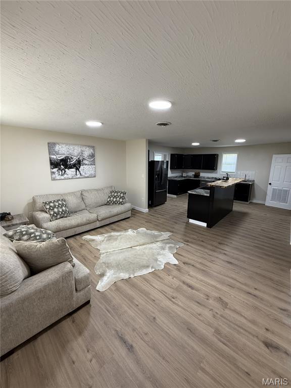 Living room — 14163 Highway AW Plato Missouri real estate