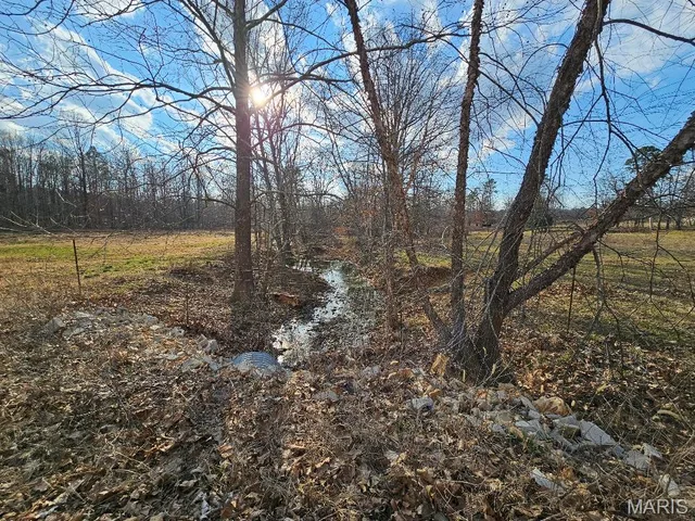 31947 US 60, Ellsinore MO real estate