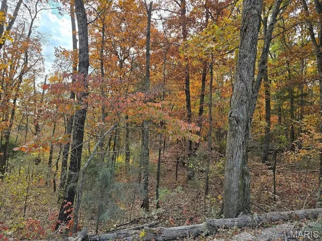 Living room — 000 Mineral Drive Lot 1 Houston Missouri real estate