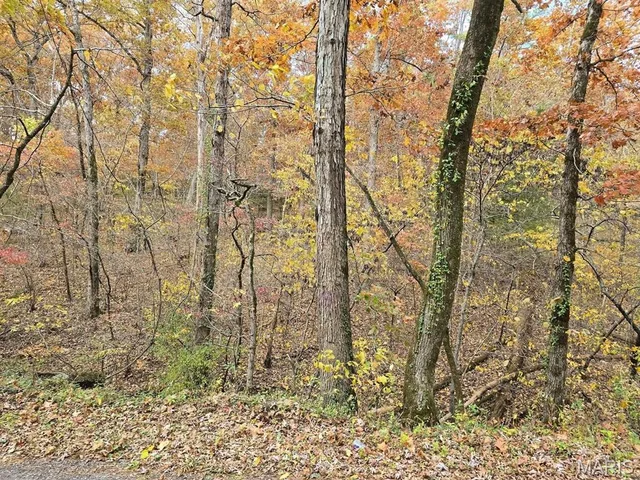 Kitchen — 000 Mineral Drive Lot 1 Houston Missouri real estate