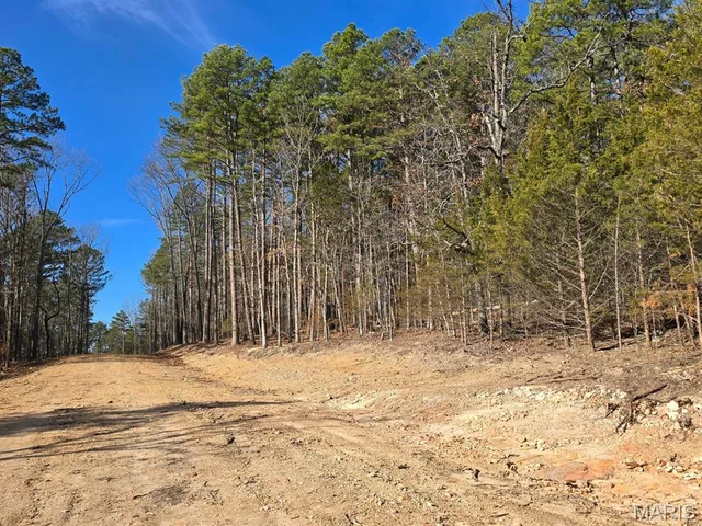 Front exterior — 000 Mineral Drive Lot 2 Houston Missouri real estate