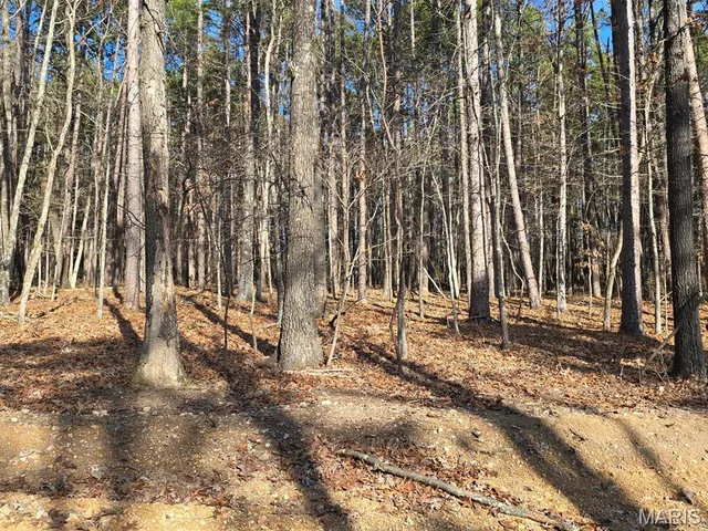 Living room — 000 Mineral Drive Lot 2 Houston Missouri real estate