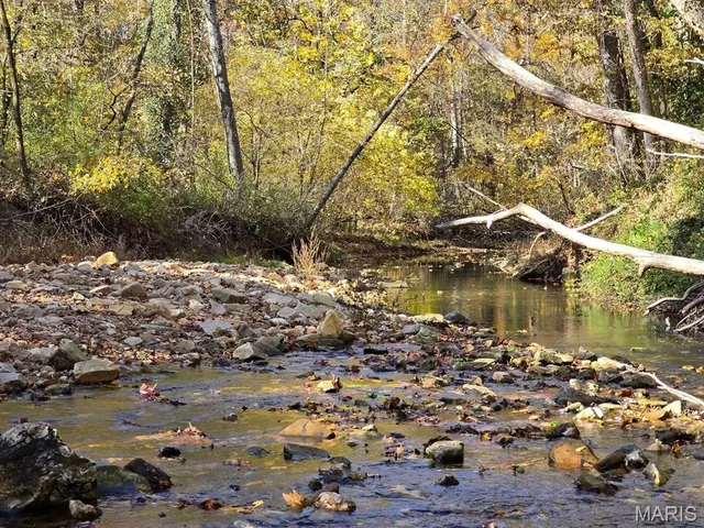 Kitchen — 000 Mineral Drive Lot 2 Houston Missouri real estate