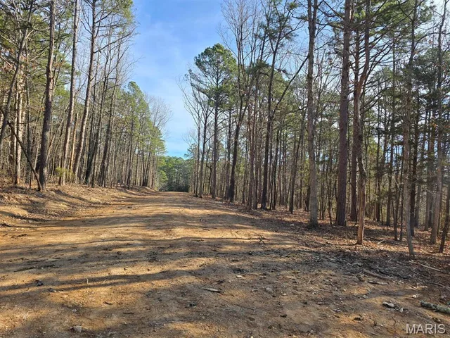 Living room — 000 Mineral Drive Lot 3 Houston Missouri real estate
