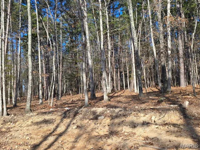 Front exterior — 000 Mineral Drive Lot 4 Houston Missouri real estate