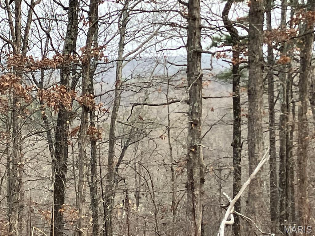 209 Madison CR 410, Fredericktown MO