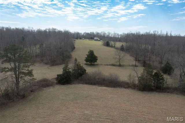 Primary bedroom — 72 off OCR 159 Fremont Missouri real estate