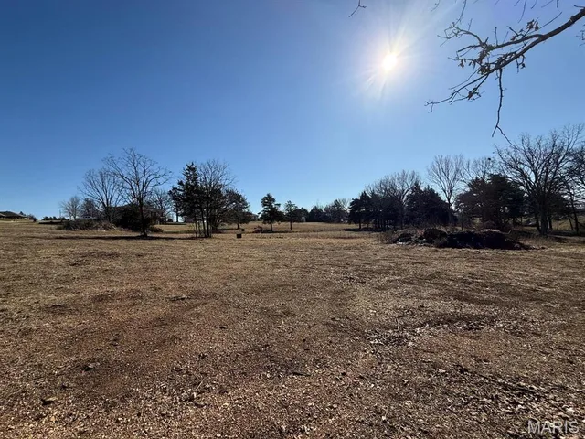 Front exterior — 000 Primrose & Honeysuckle Lane Houston Missouri real estate