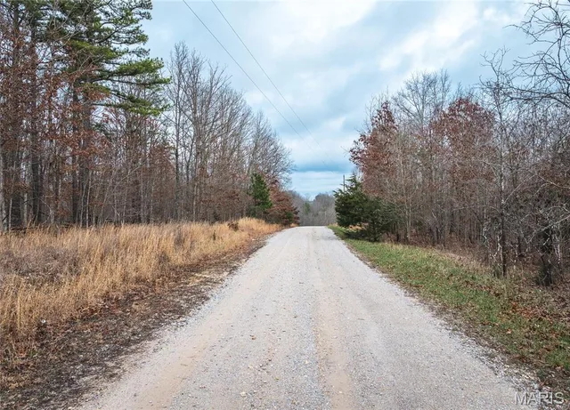 Living room — 11.09 acres Broken Arrow Trail Raymondville Missouri real estate