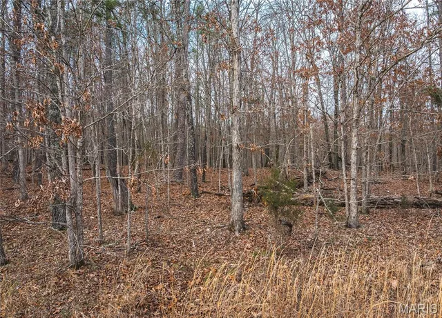 Kitchen — 11.09 acres Broken Arrow Trail Raymondville Missouri real estate