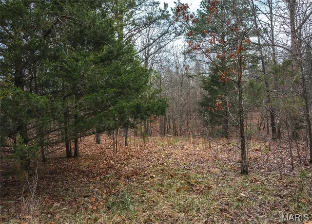 Primary bedroom — 11.09 acres Broken Arrow Trail Raymondville Missouri real estate