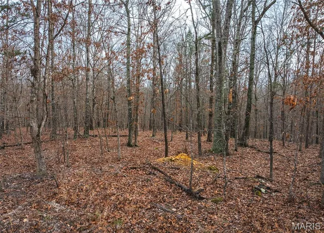 Front exterior — 16.01 acres Pine Meadow Trail Raymondville Missouri real estate