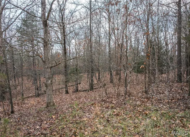 Living room — 16.01 acres Pine Meadow Trail Raymondville Missouri real estate