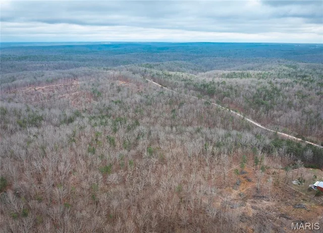 Primary bedroom — 16.01 acres Pine Meadow Trail Raymondville Missouri real estate