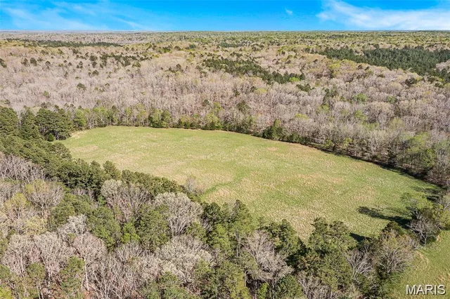 Living room — 1 Off Highway M Silva Missouri real estate