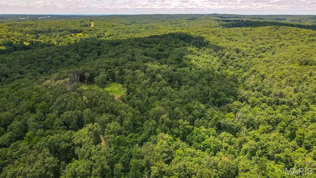 Kitchen — 46.53ac TBD Highway J Versailles Missouri real estate
