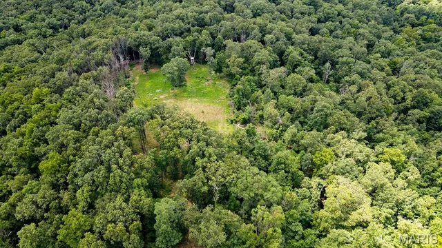 Primary bedroom — 46.53ac TBD Highway J Versailles Missouri real estate