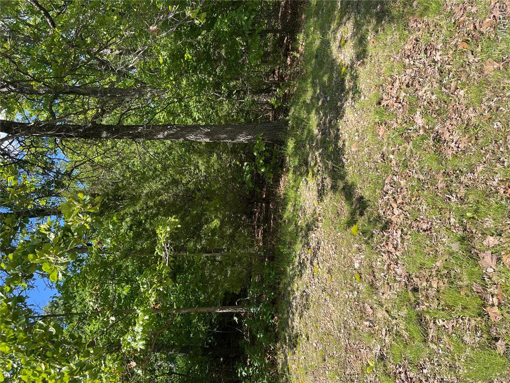 000 Plaza Lane Lebanon Missouri home for sale listed at $14,000