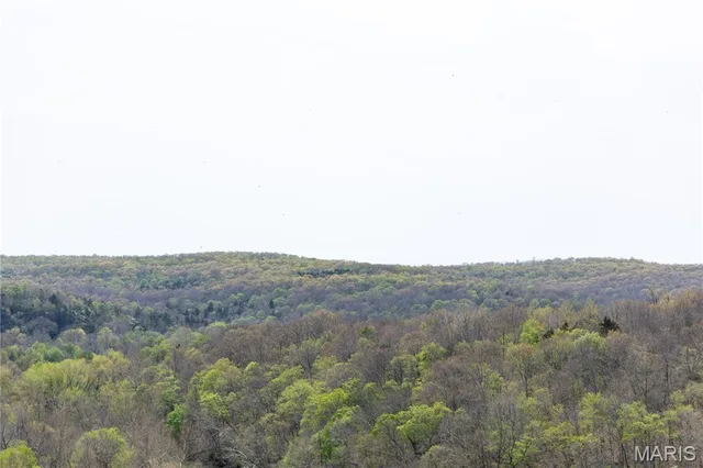 Living room — Lot 1C Short Road Blackwell Missouri real estate