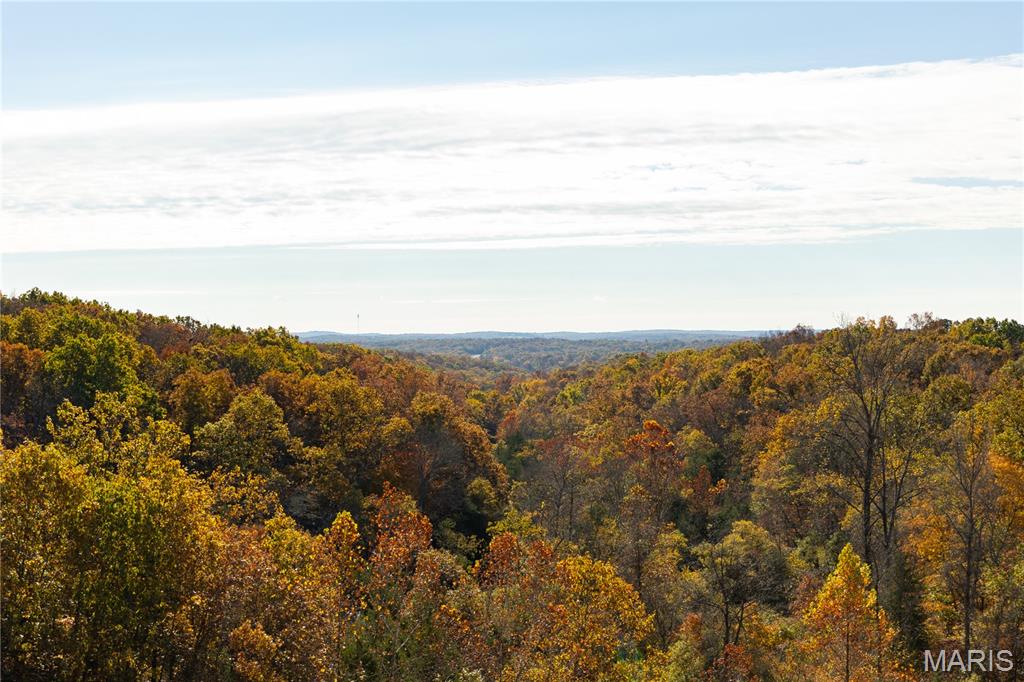 Lot 1H Short Road Blackwell Missouri home for sale listed at $95,000