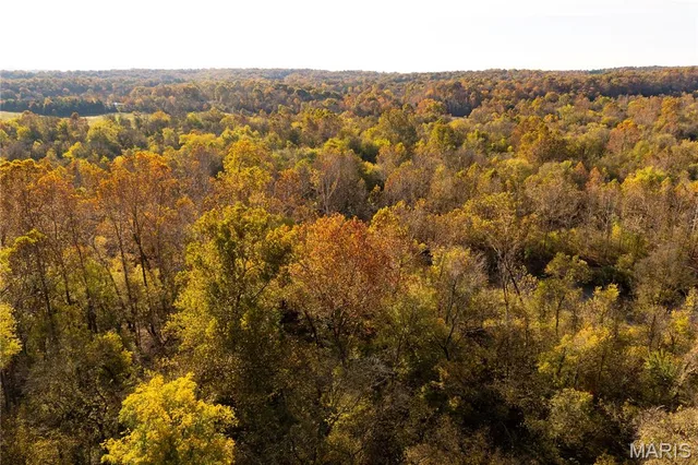 Kitchen — Lot 1H Short Road Blackwell Missouri real estate