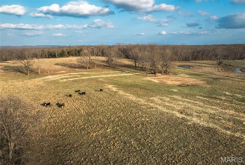 72 +/- acres County Road 8490, Newburg MO real estate