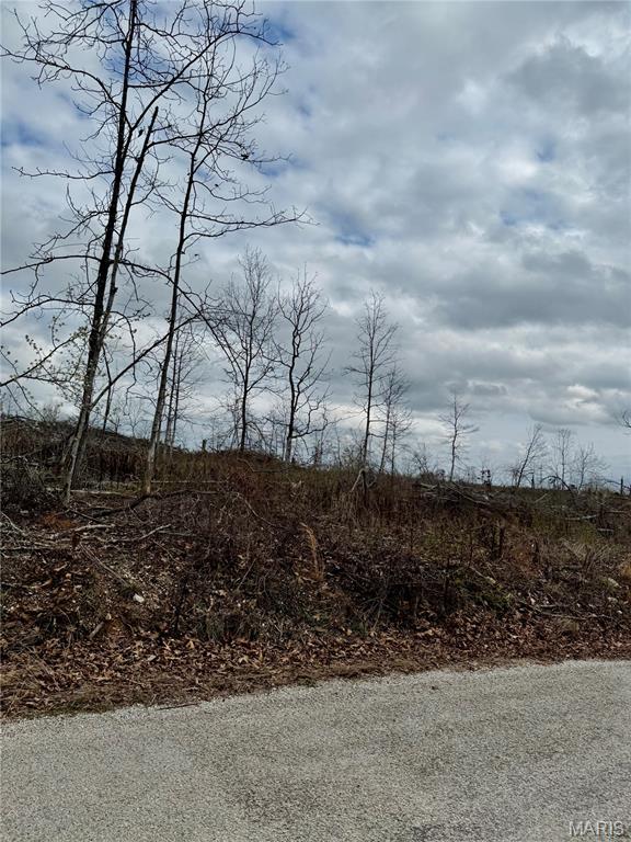 Kitchen — 1365 County Road 3500 Mountain View Missouri real estate