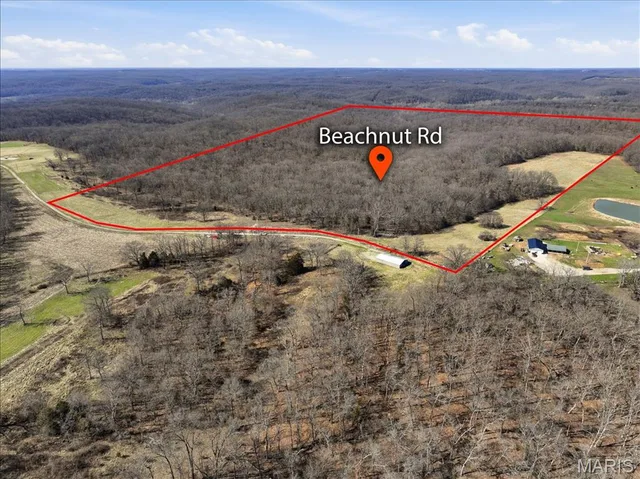 86.6+/- Acre Beechnut, Stover MO real estate