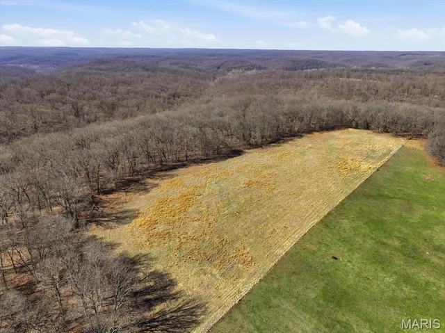 Living room — 86.6+/- Acre Beechnut Stover Missouri real estate