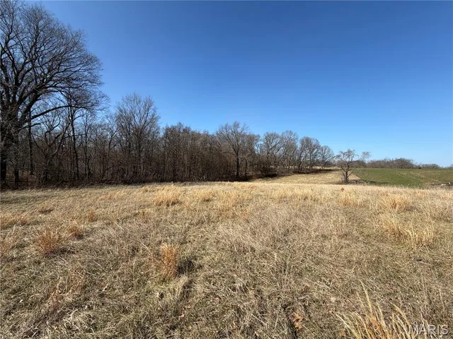 Kitchen — 86.6+/- Acre Beechnut Stover Missouri real estate